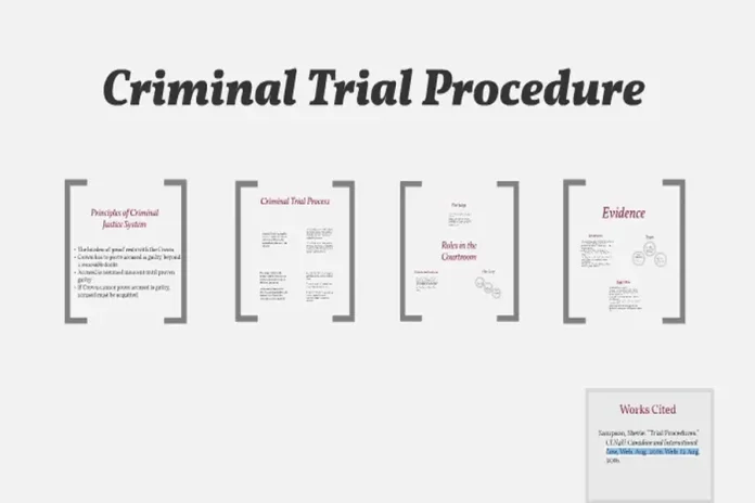 The Stages Of A Criminal Case Explained Step By Step Criminal Case Explained