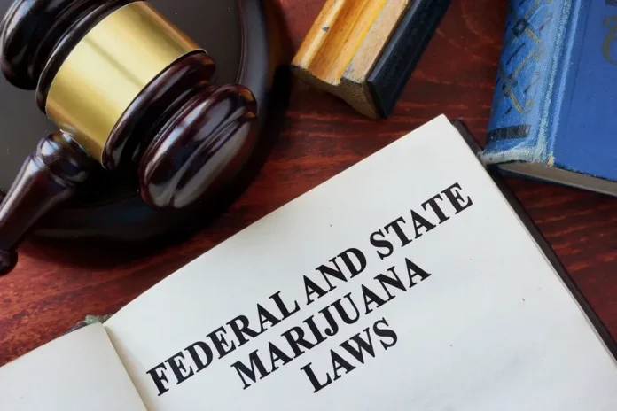 Where You Can Legally Use Cannabis in NJ (And Where You Can’t) Legally Use Cannabis