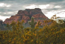 How to Prepare For Spring Trip In Arizona Spring Trip