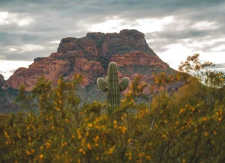 How to Prepare For Spring Trip In Arizona Spring Trip