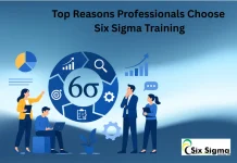 Top Reasons Professionals Choose Six Sigma Training Six Sigma Training