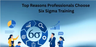 Top Reasons Professionals Choose Six Sigma Training Six Sigma Training