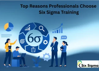 Top Reasons Professionals Choose Six Sigma Training Six Sigma Training