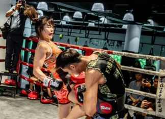 Muay Thai Gym in Thailand for Global Tourist
