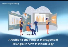 A Guide to the Project Management Triangle in APM Methodology Methodology